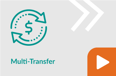 Multi-Transfer